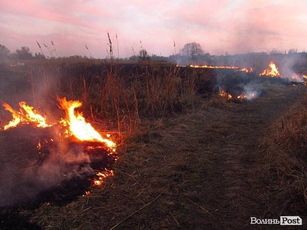 У Луцьку - чергова пожежа Гнідавського болота. ФОТО. ОНОВЛЕНО