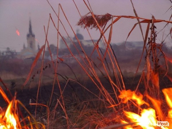У Луцьку - чергова пожежа Гнідавського болота. ФОТО. ОНОВЛЕНО