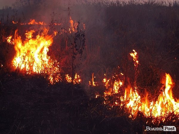 У Луцьку - чергова пожежа Гнідавського болота. ФОТО. ОНОВЛЕНО