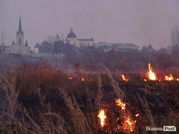 У Луцьку - чергова пожежа Гнідавського болота. ФОТО. ОНОВЛЕНО