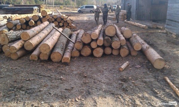 «Ліс рубають – скалки летять»: чому камінь-каширці проти охоронців лісу. ФОТО. ВІДЕО