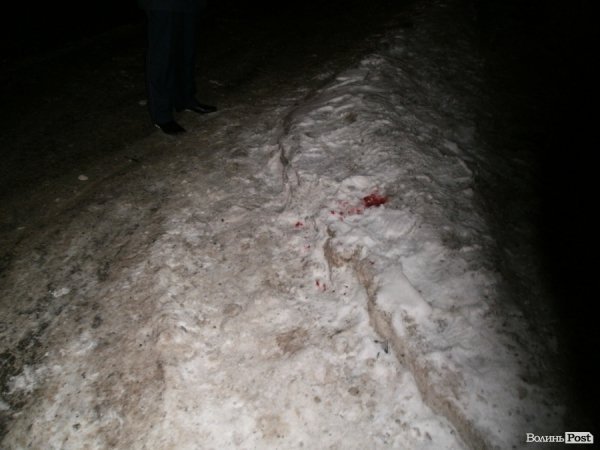 У Луцьку на переході авто збило маму з дитиною. Водій втік. ФОТО