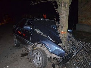 Аварія на Волині: авто з неповнолітніми в'їхало в дерево. ФОТО