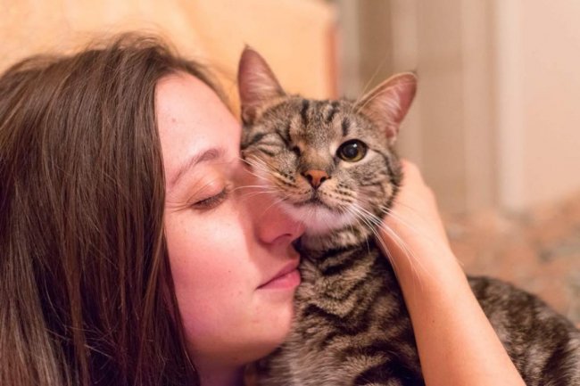 День кота у Facebook: волиняни вітають своїх улюбленців. ФОТО