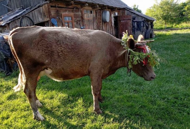 До переліку нематеріальної культурної спадщини Волині потрапили ще шість елементів