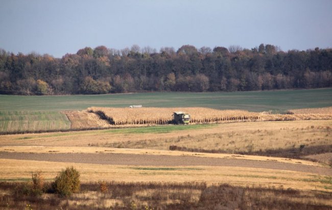Осінні пейзажі Волинської височини: неймовірні фото