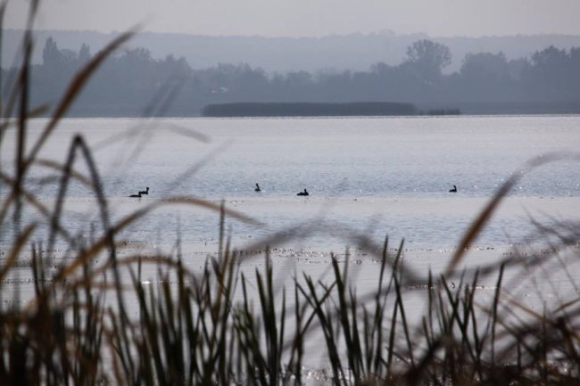 Осінні пейзажі Волинської височини: неймовірні фото