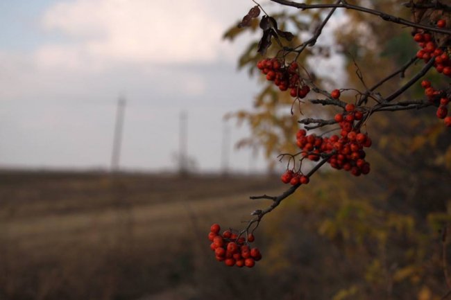 Осінні пейзажі Волинської височини: неймовірні фото