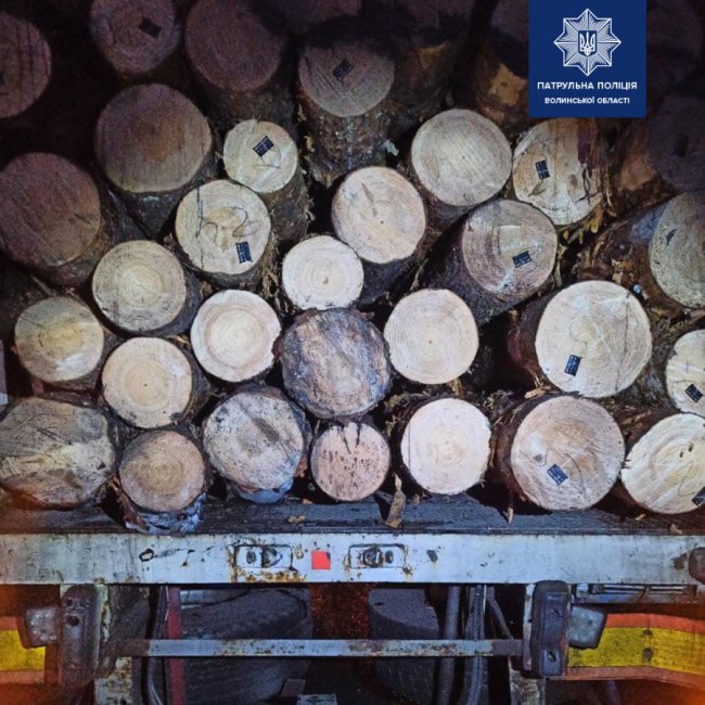 На Волині вкотре виявили вантажівку, яка перевозила незаконну деревину