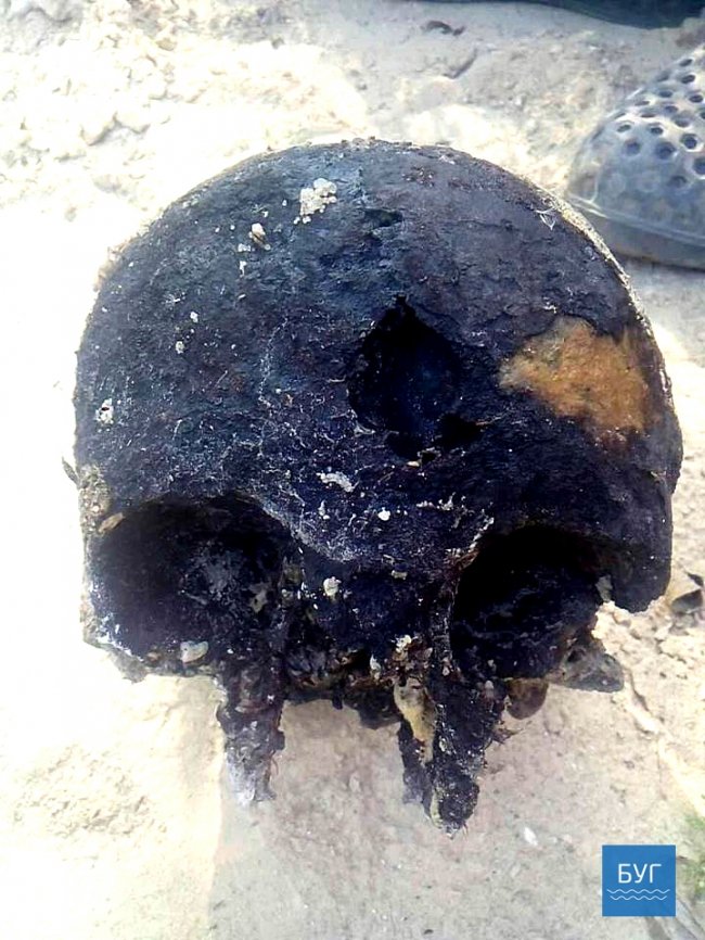 На Волині у шкільному музеї зберігають пакети з людськими кістками 