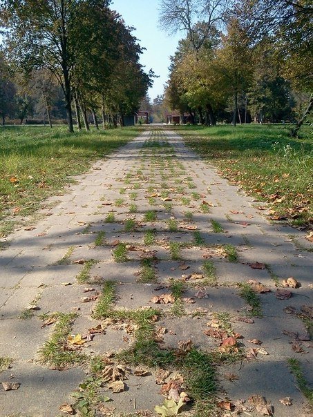 «Бабине літо» в луцькому парку. ФОТО 