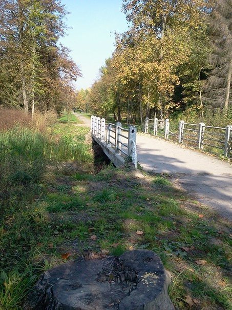«Бабине літо» в луцькому парку. ФОТО 
