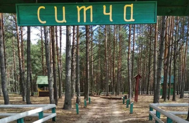 На Волині лісопорушник зрізував дерева біля альтанки у рекреаційній зоні. ФОТО