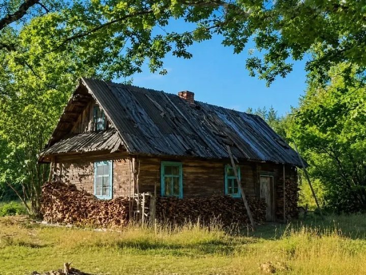 20 років була єдиною жителькою: що залишилося від хутора Оптова на Волині