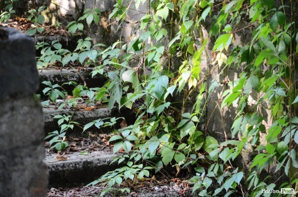 Фотопогляд: центральний парк Луцька