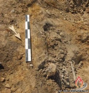 На Волині у піщаному кар'єрі знайшли людські останки. ФОТО   