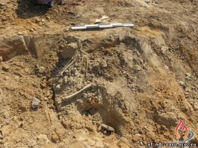 На Волині у піщаному кар'єрі знайшли людські останки. ФОТО   