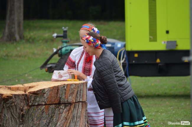 Урожай, частування та співи: у Луцьку святкують «Обжинки»
