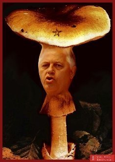 Інтернет сміється з Митного союзу