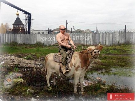 Інтернет сміється з Митного союзу