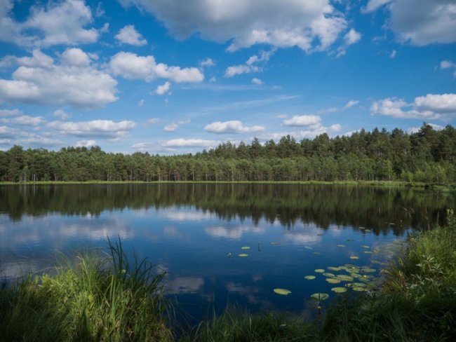 Краса, яка захоплює душу: дивовижні краєвиди Волині. ФОТО