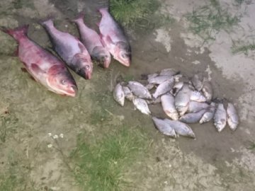 На Волині чоловік на ринку незаконно продавав майже 50 кілограмів риби