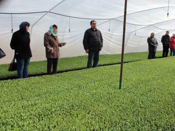 Малина, полуниця, цибуля: як на Волині фермери вирощують органічну продукцію