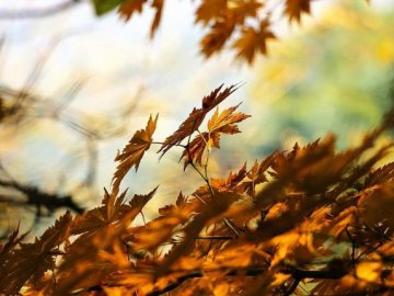 1 листопада – яке сьогодні свято та що не можна робити у цей день