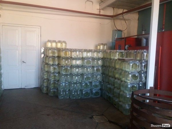 На Волині суничний бум – замість чорниці люди збирають «ягоду сонця». ФОТО