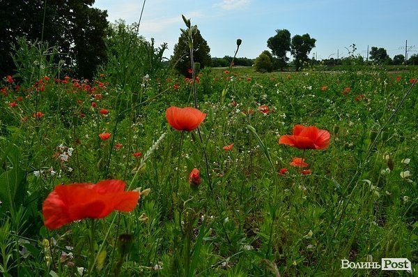 На Волині показали, який туризм хочуть. ФОТО