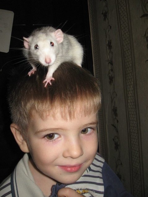 Фото «котячо-собачого» хіт-параду від Луцького зоопарку