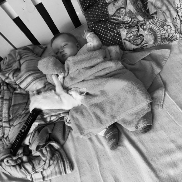 Фото «котячо-собачого» хіт-параду від Луцького зоопарку