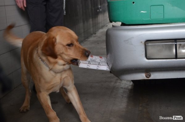 Ротацію митниці провели на 50%, - новий начальник Ягодинської митниці