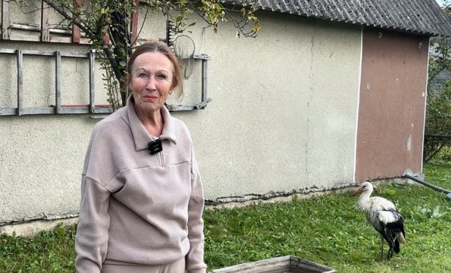 Волинянка прихистила травмованого лелеку. ВІДЕО