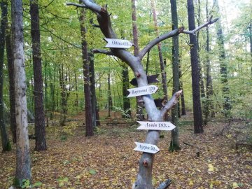 У нацпарку на Волині облаштували нову екостежку для насолоди природою