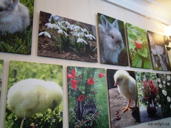 У Луцьку будять весну. ФОТО