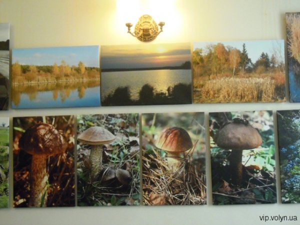 У Луцьку будять весну. ФОТО