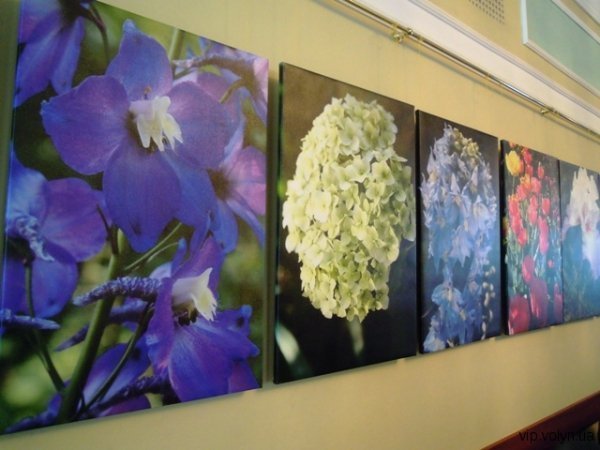 У Луцьку будять весну. ФОТО