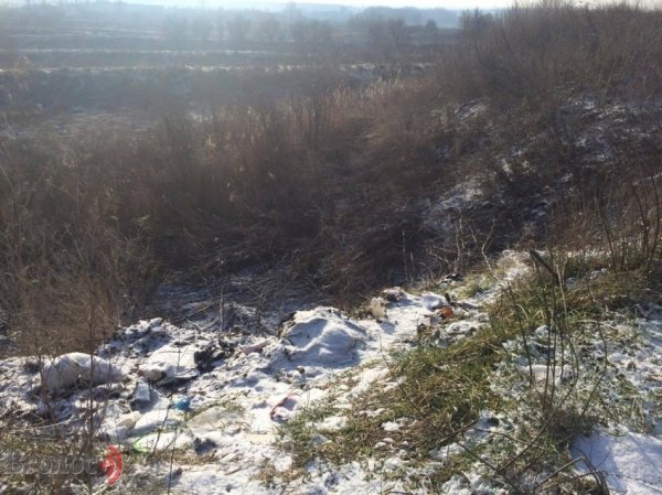 Колишній цукровий завод на Волині перетворюється на звалище