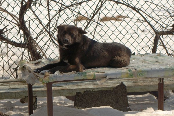 Весна у Луцьку. ФОТО