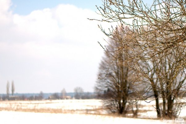 Весна у Луцьку. ФОТО