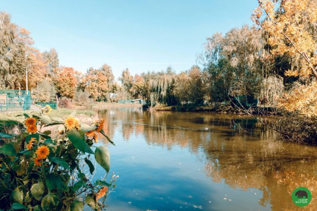 Жовтогаряча осінь у Луцькому зоопарку. ФОТО