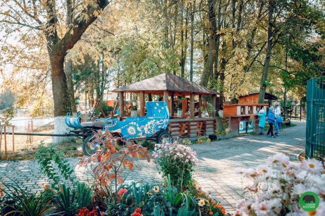 Жовтогаряча осінь у Луцькому зоопарку. ФОТО
