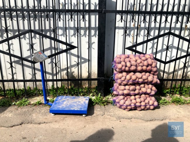 За скільки продають картоплю на Волині