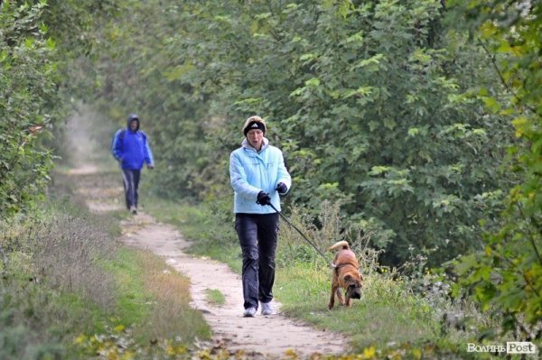 Луцьк. Ранок. Парк. Лучани. ФОТО
