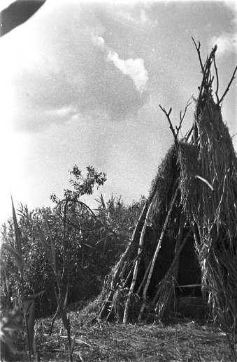 Дітлахи, рибалки та човни: волинське Полісся на фото аргентинки