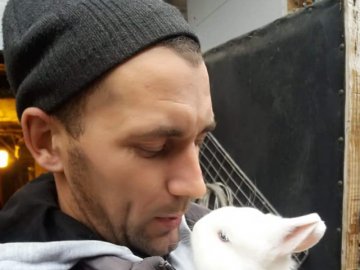 Від англійських строкачів до французьких баранчиків: волинянин розводить 12 порід кролів. ФОТО