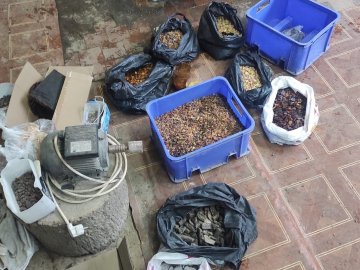 На Волині розгромили солідну банду копачів бурштину