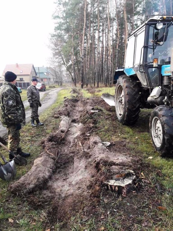 «Дерева миру»  з’явилися на околиці Ківерців