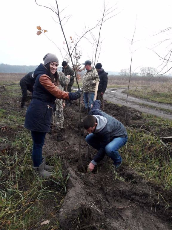 «Дерева миру»  з’явилися на околиці Ківерців